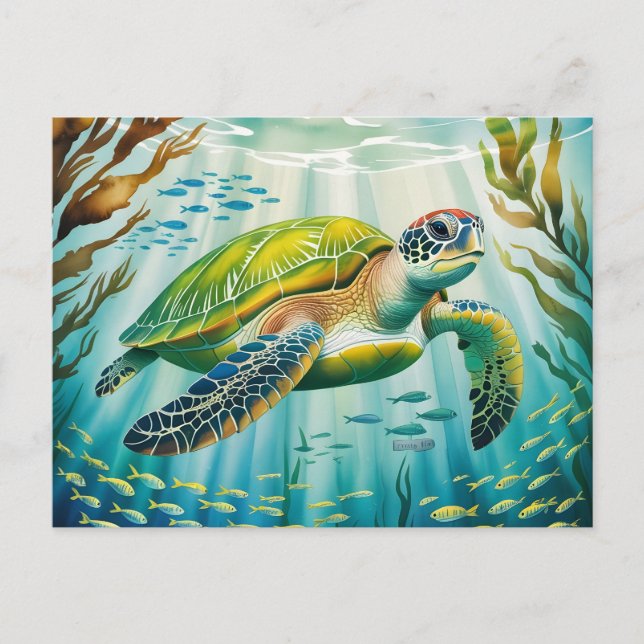 Postal Tortuga Pintada (Anverso)