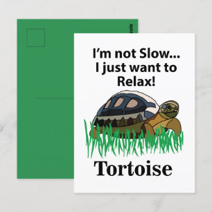 Postal Tortuga Solo Quiero Relajarme Animal Mascota Diver