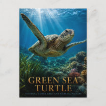 Tortuga Verde Coral ANIMALES