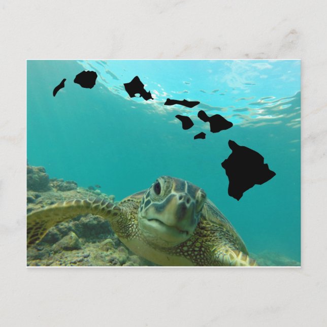 Postal Tortuga verde hawaiana (Anverso)