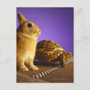 Postal Tortuga y las liebres