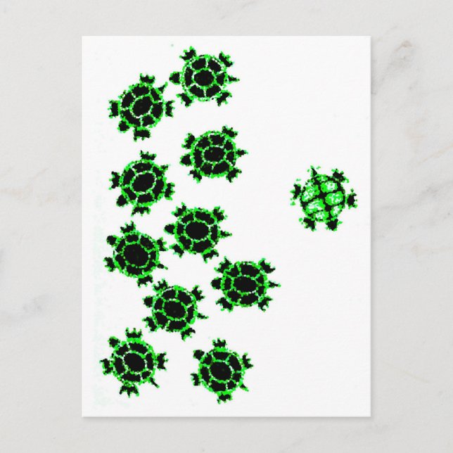 Postal Tortugas (Anverso)