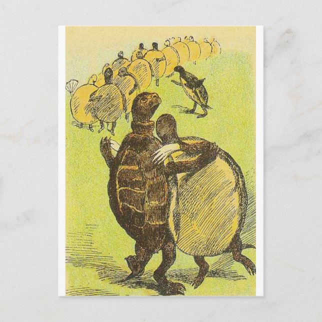 Postal Tortugas de baile lentas (Anverso)