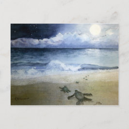 Postal Tortugas del mar del Bebé que se incuban de noche