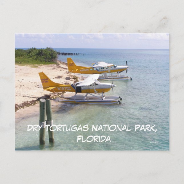 Postal Tortugas secas (Anverso)