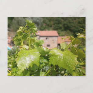 Postal Toscana. Italia. Cortona.