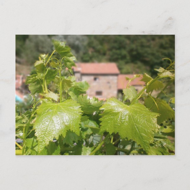 Postal Toscana. Italia. Cortona. (Anverso)