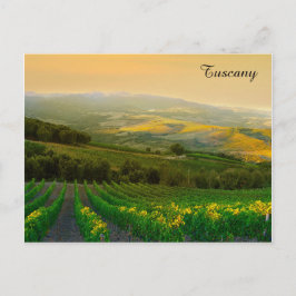 Postal Toscana Italia Viaje italiano de viñedos