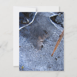 Postal Tótem Raven, Corvid de pájaro negro