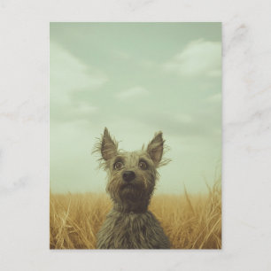 Postal Toto gris en un campo de trigo