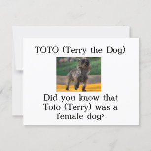 Postal Toto (Terry el perro)
