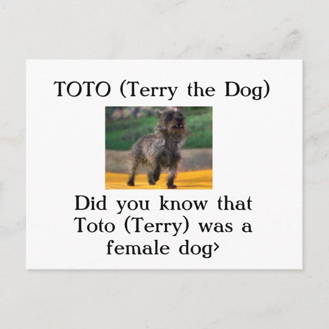 Postal Toto (Terry el perro) (Anverso)