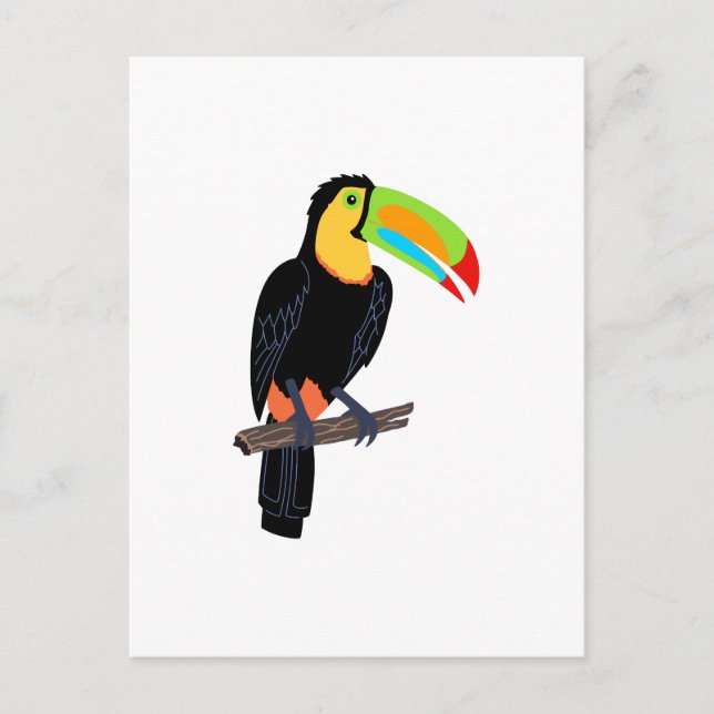 POSTAL TOUCAN BIRD (Anverso)