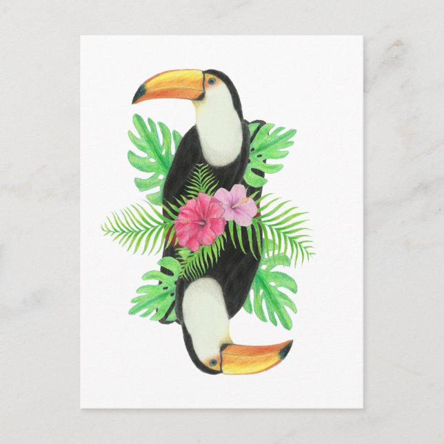 Postal Toucan en hojas tropicales (Anverso)