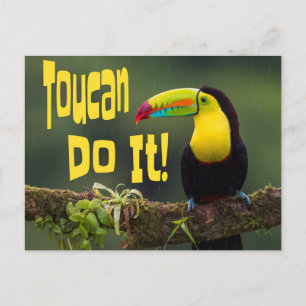 Postal ¡Toucan Lo Hace! Pun divertidísimo con motivos de 
