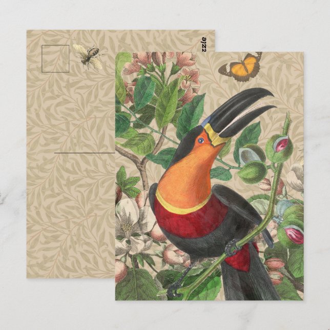 Postal Toucan Selva Tropical Pájaro Hermoso Antiguo (Anverso / Reverso)