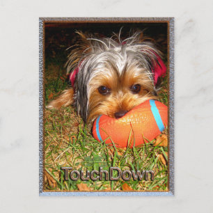 Postal TouchDown Yorkie