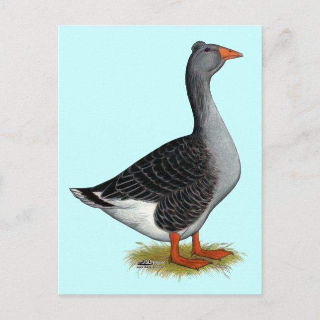 Postal Toulouse Goose Tufted (Anverso)