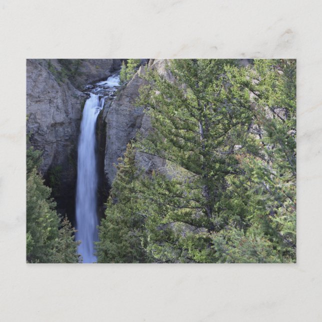 Postal Tower Falls, Parque Nacional Yellowstone, Wyoming (Anverso)