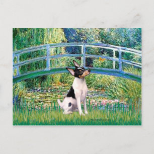 Postal Toy Fox Terrier - Bridge