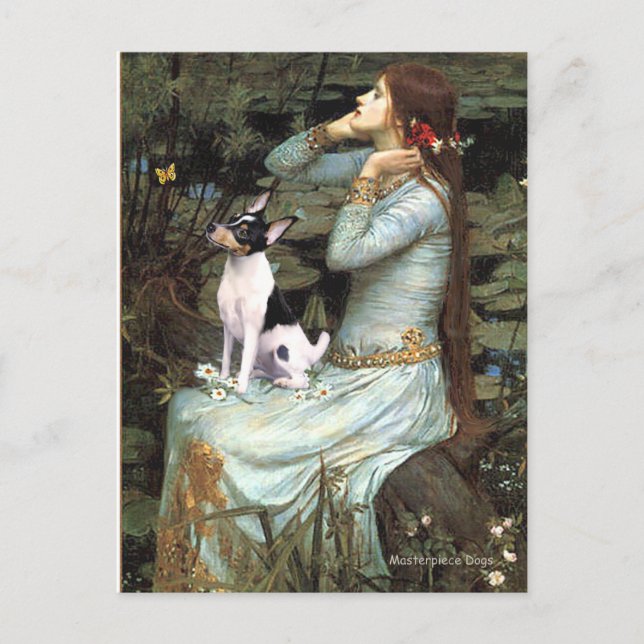 Postal Toy Fox Terrier - Ophelia Sentada (Anverso)