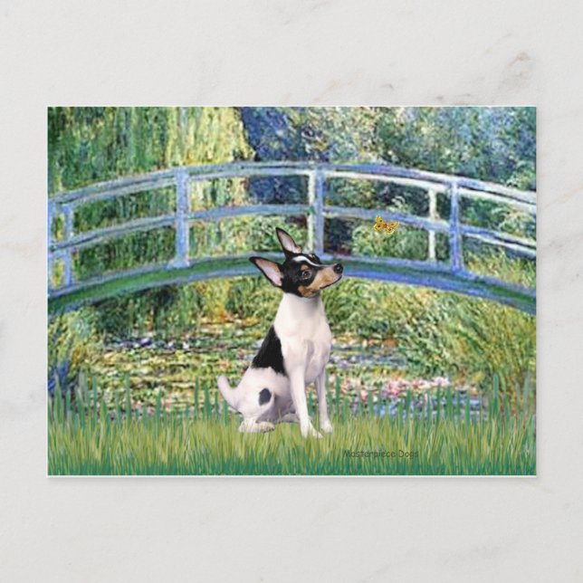 Postal Toy Fox Terrier - Puente (Anverso)