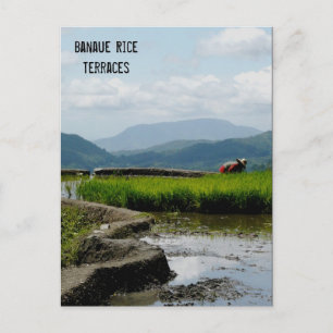 Postal Trabajando en las terrazas