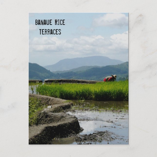 Postal Trabajando en las terrazas (Anverso)