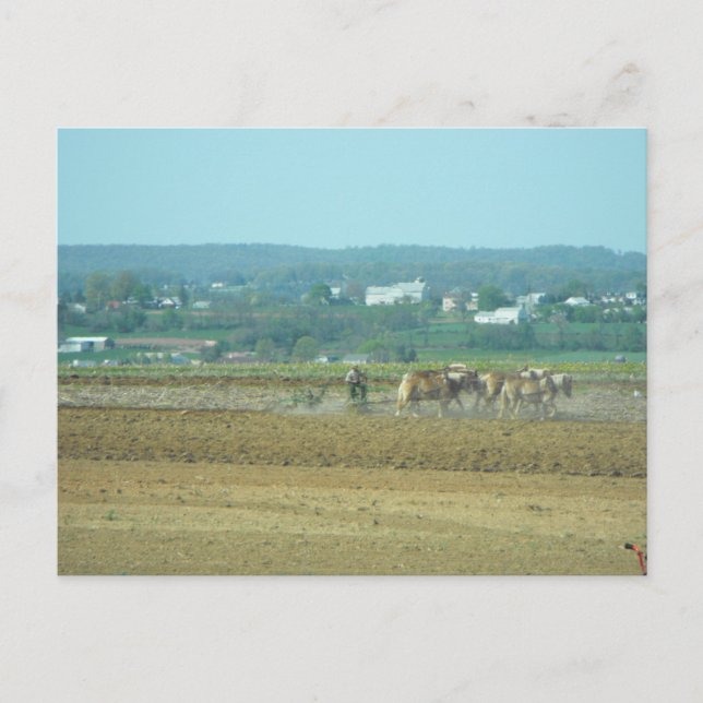 Postal ~ Trabajar los campos 4 ~ (Anverso)