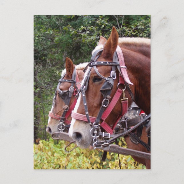 Postal Trabajo (Anverso)