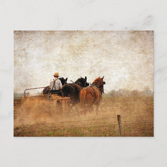 Postal Trabajo de campo impulsado por caballos (Anverso)