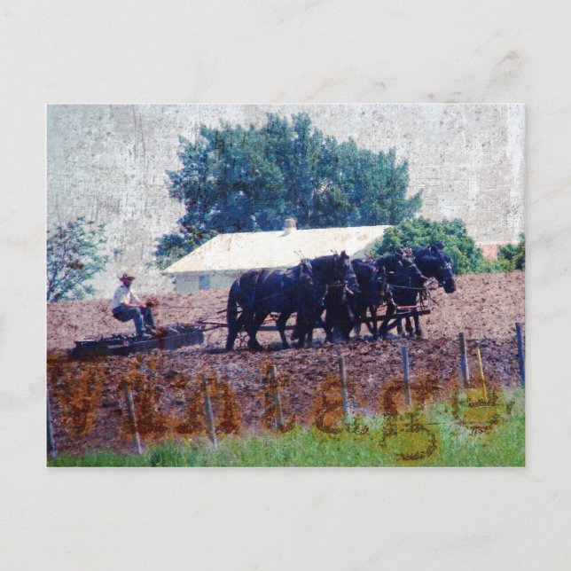 Postal Trabajo de equipo de vintage (Anverso)