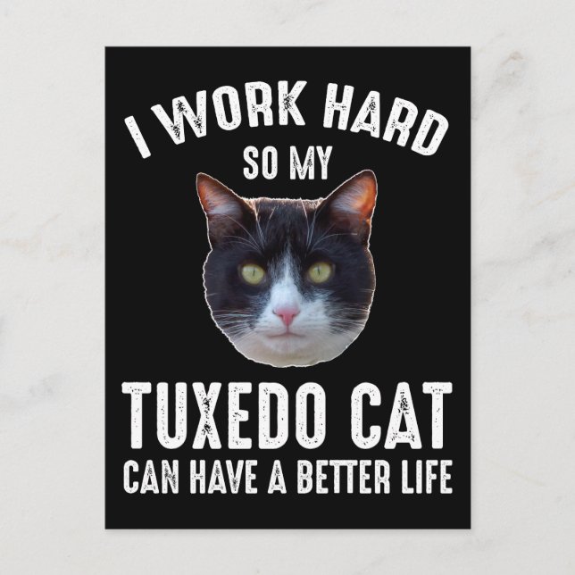 Postal Trabajo Duro Para Que Mi Gato De Tuxedo Pueda Tene (Anverso)