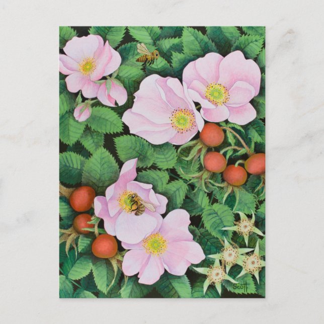 Postal Trabajo en equipo 2011 (Anverso)