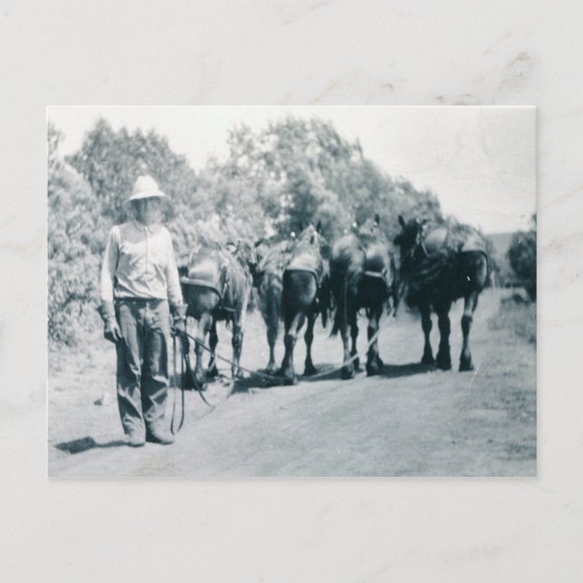 Postal Trabajo matutino (Anverso)