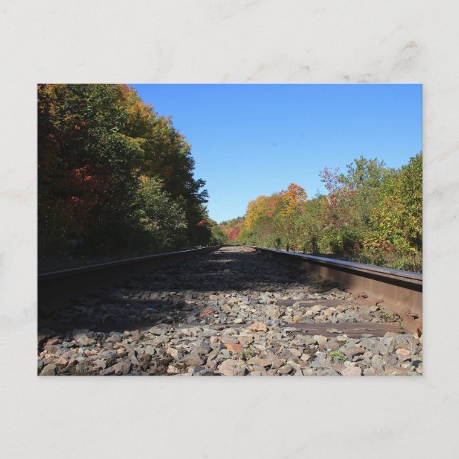 Postal Tracks into Autumn (Anverso)
