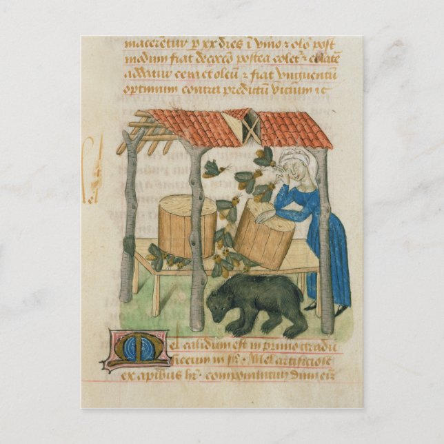 Postal Tractatus de Herbis' (Anverso)