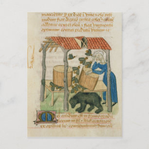 Postal Tractatus de Herbis'