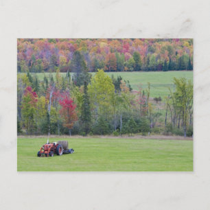 Postal Tractor con balón de heno en campo verde con