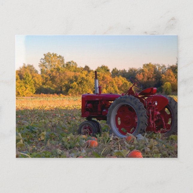 Postal Tractor en un campo de calabaza (Anverso)