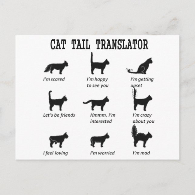 POSTAL TRADUCTOR DE TAIL CAT (Anverso)