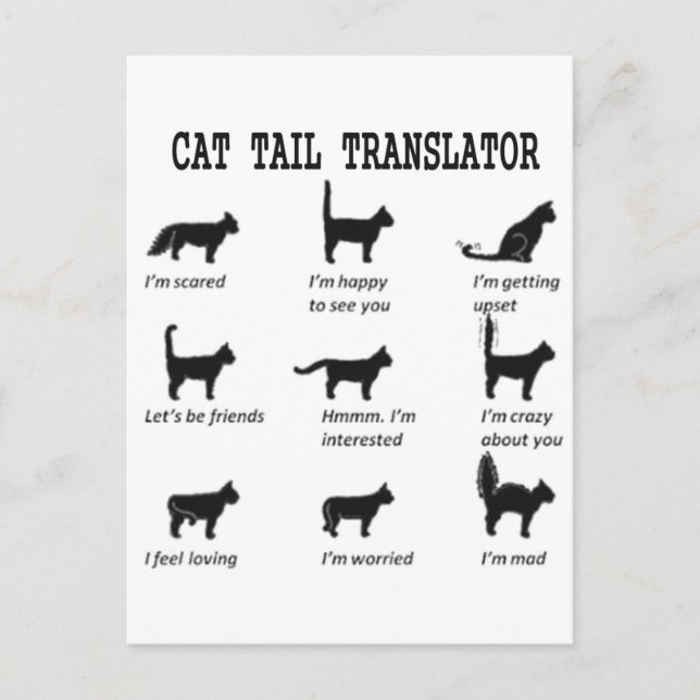 POSTAL TRADUCTOR DE TAIL CAT (Anverso)