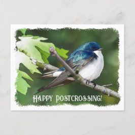 Postal Tragaperras de árbol de posttravesía - Postcard