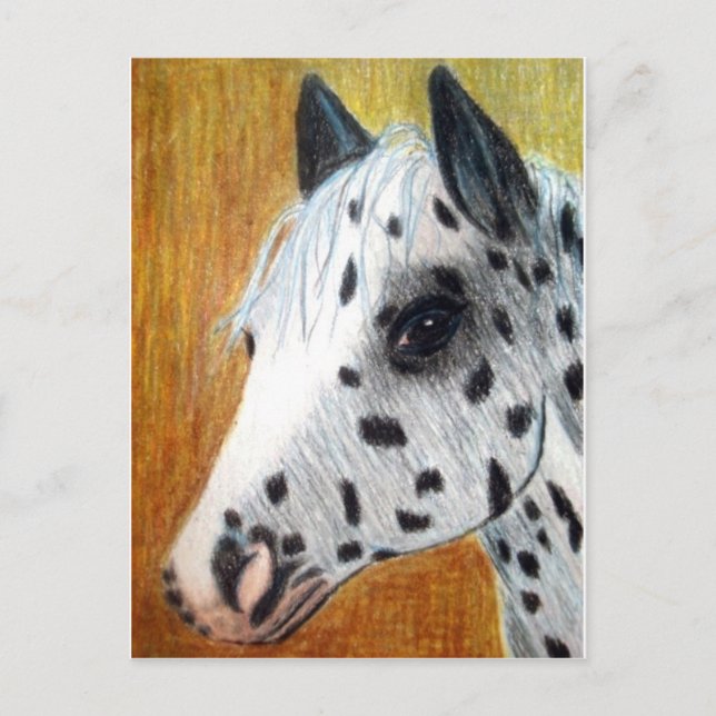 Postal "Trail Ride" Caballo Appalloosa (Anverso)