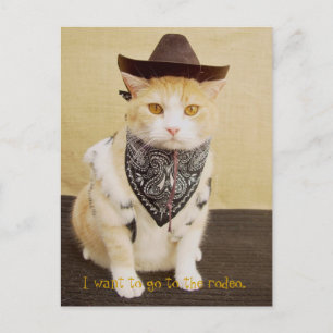 Postal Trail Rider Bubba