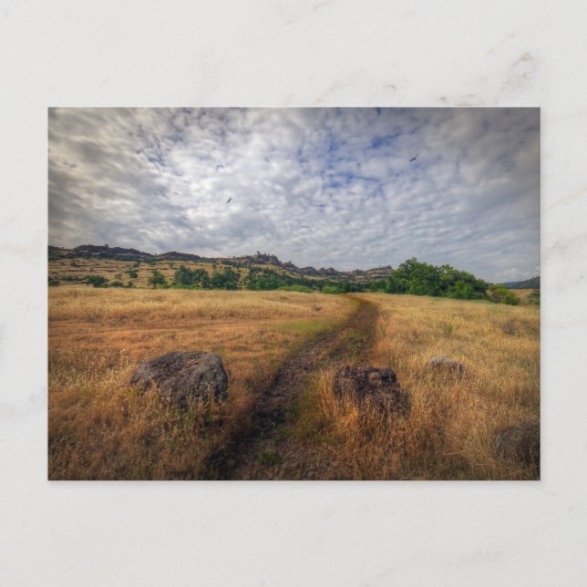 Postal Trailhead, Upper Bidwell Park, Chico, Ca (Anverso)