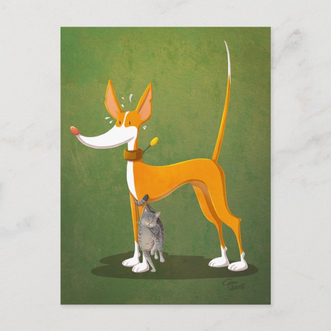 Postal Trampa (Anverso)