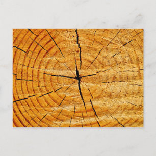 Postal Trampa de árbol