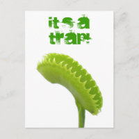 Trampa de la mosca de Venus