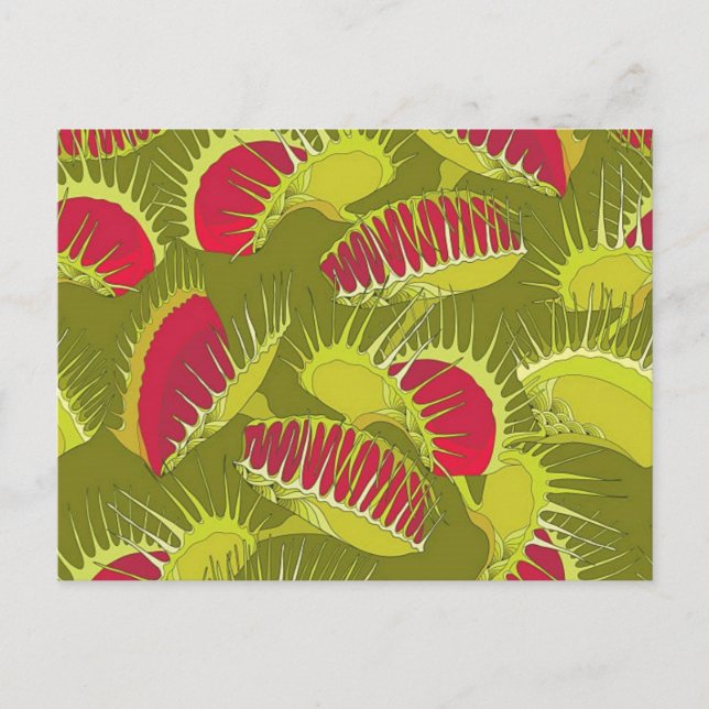 Postal trampa de mosca de halloween (Anverso)